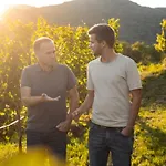 Winzerhof & Gaestehaus Bernhard וויסנקירשן אין דר וואכאו