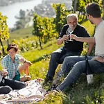 Homestay Winzerhof & Gaestehaus Bernhard Weissenkirchen in der Wachau