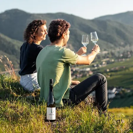 Winzerhof & Gastehaus Bernhard Homestay szállás