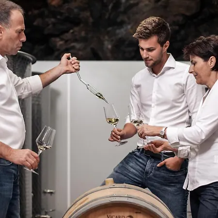 홈스테이 Winzerhof & Gaestehaus Bernhard *