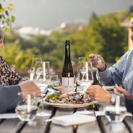 Winzerhof & Gaestehaus Bernhard 홈스테이