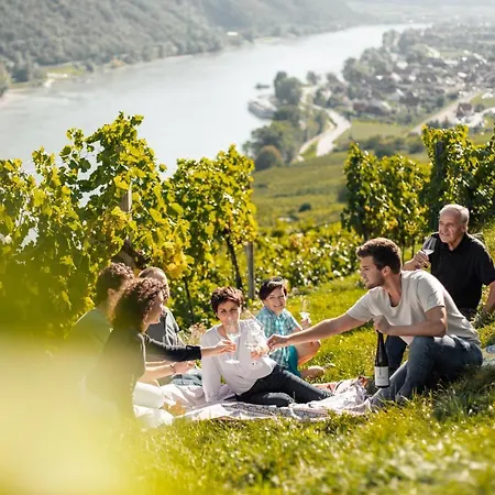 Winzerhof & Gaestehaus Bernhard 홈스테이 레헨스테이너와차우
