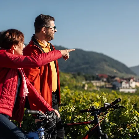 Winzerhof & Gaestehaus Bernhard *