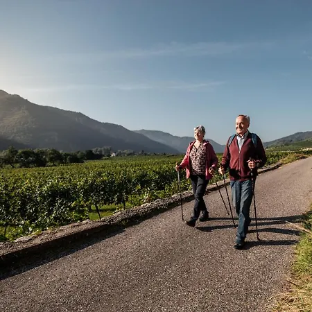 Winzerhof & Gaestehaus Bernhard 民宿