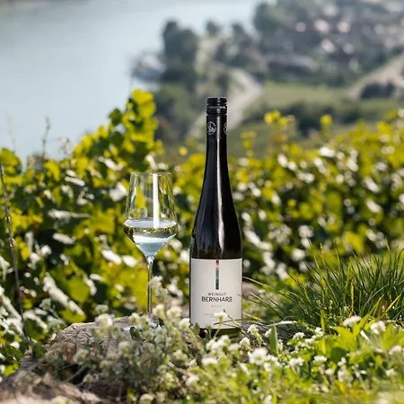 Winzerhof & Gastehaus Bernhard