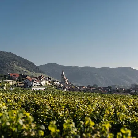 Winzerhof&gästehaus Bernhard Privatunterkunft
