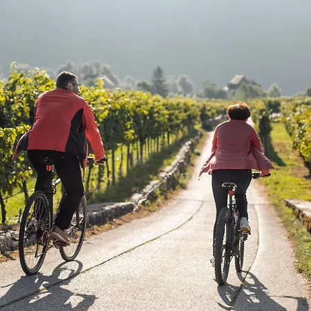 홈스테이 Winzerhof & Gaestehaus Bernhard