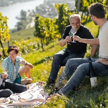 홈스테이 Winzerhof & Gaestehaus Bernhard 레헨스테이너와차우