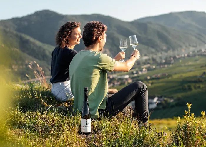 Winzerhof & Gaestehaus Bernhard Homestay