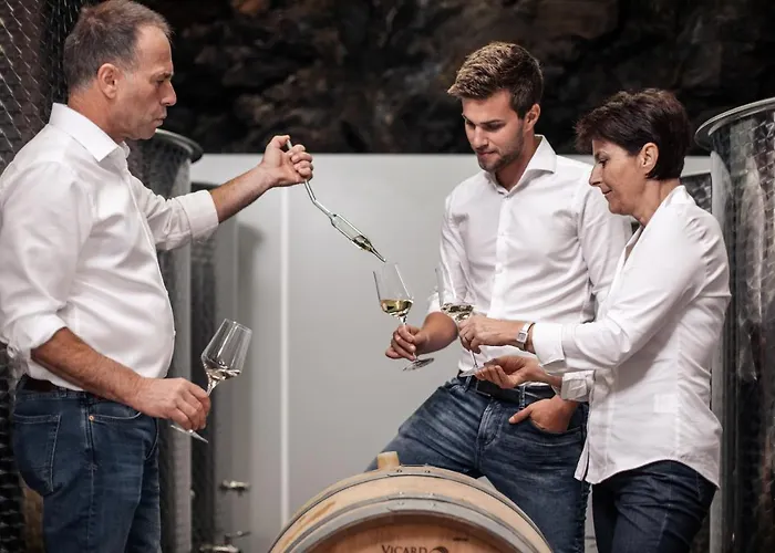 Homestay szállás Winzerhof & Gastehaus Bernhard *