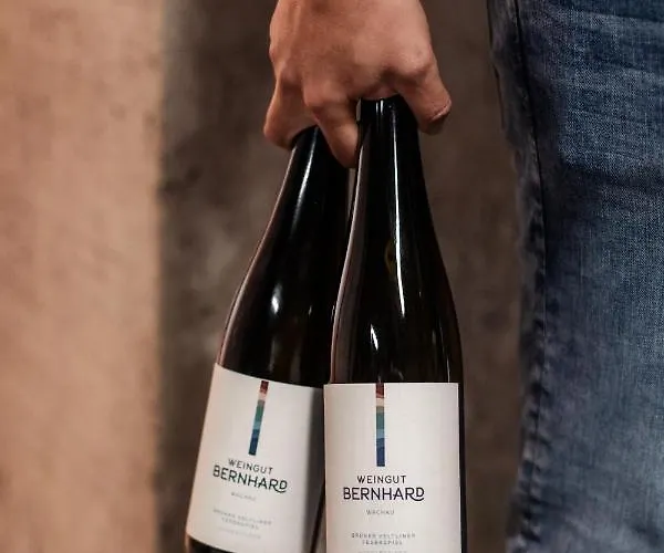 Homestay szállás Winzerhof & Gastehaus Bernhard Weissenkirchen in der Wachau