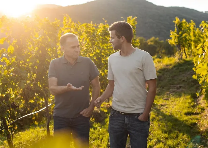 Winzerhof & Gastehaus Bernhard Weissenkirchen in der Wachau