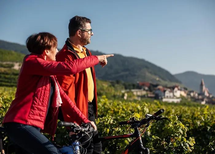 Winzerhof & Gaestehaus Bernhard *