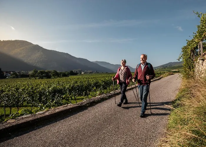 Winzerhof & Gaestehaus Bernhard Homestay