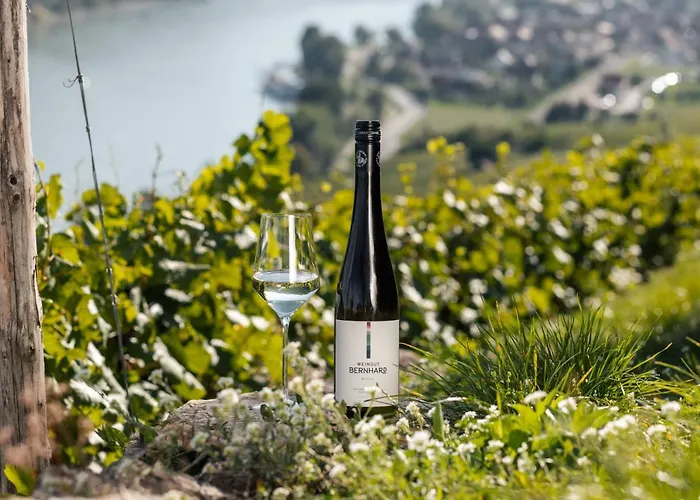 Winzerhof & Gastehaus Bernhard