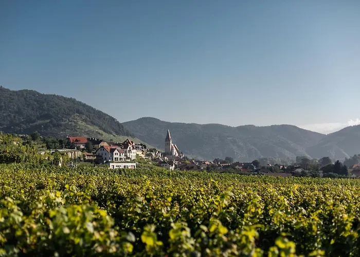 Winzerhof & Gaestehaus Bernhard Homestay