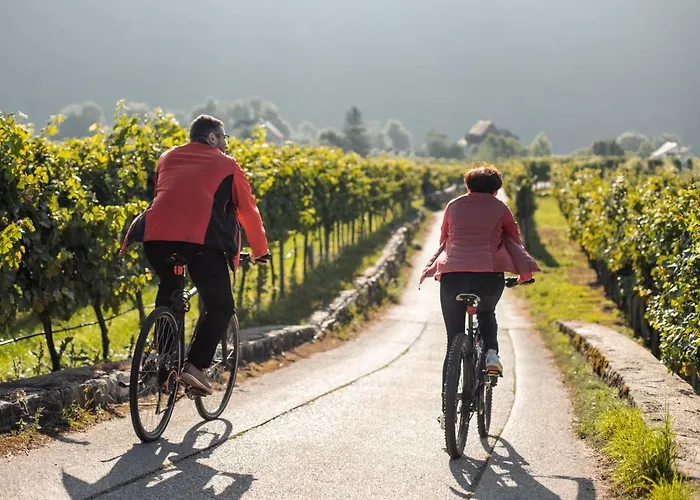 Homestay Winzerhof & Gaestehaus Bernhard