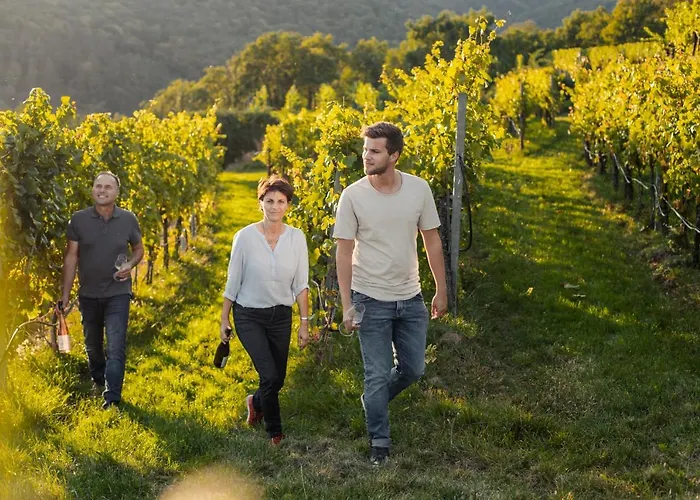 Winzerhof & Gaestehaus Bernhard *